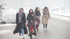 ژمی