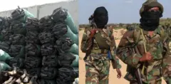 Waaxda lacagta Maraykanka ayaa xayiraadda soo rogtay
