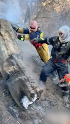  عملیات اصلی مهار آتش‌سوزی جنگل‌ الیت در مرزن آباد چالوس به پایان رسیده است‌، اما به دلیل وجود کنده‌ها و برگ‌های انباشته، لکه‌گیری و مراقبت‌های میدانی همچنان ادامه خواهد داشت