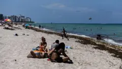 Pessoas em praia da Flórida no primeiro dia de reabertura, em junho de 2020