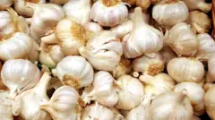 ነጭ ሽንኩርት