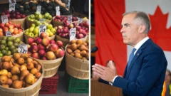 Canada PM Mark Carney for right, and picture of fruits for left