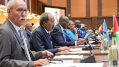 shirka hormarinta beeraha ee Afrika