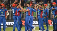 کرکٹ