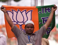 25 मार्च 2017 को दिल्ली नगर निगम के चुनावों के दौरान रामलीला मैदान में एक भाजपा समर्थक