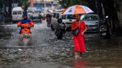 पाऊस