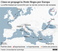 Map titled "How did the Black Death spread across Europe?"Which indicates the transmission of the disease through the grain trade network. The map covers Europe, the Mediterranean, and the Black Sea. Major ports are marked: red dots for export ports (e.g. Tana, Alexandria), blue dots for import ports (e.g. Oslo, Messina) and orange dots for trade centers (e.g. Venice, Genoa, Pisa, Crete). Dashed black arrows indicate the direction of the plague's spread: starting at Tana on the Black Sea, moving southwest to Constantinople and Crete, then west to Messina in Sicily, north to Pisa and Genoa, then north to Venice. From Italy, the routes extend northwest to France and then north to Oslo. Another route extends from Alexandria in Egypt to the island of Crete and then integrates into the Mediterranean trade network. There is a small inset map highlighting the area within Europe. Source: University of Cambridge.