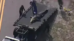 அமெரிக்கா ஃப்ளோரிடா முதலை