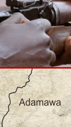 Etu ndị Iswap si gbuo mmadụ 29 n'Adamawa Steeti