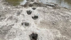 Texas'ta bulunan ayak izleri