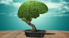 cerveau sous forme d'arbre