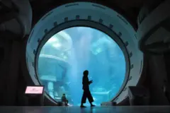 Uma pessoa em frente a um aquário gigante