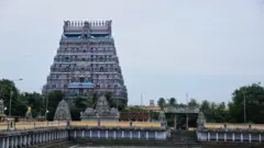 சிதம்பரம் தீட்சிதர்கள், கிரிக்கெட்