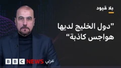  أمير موسوي الدبلوماسي والمستشار السابق برئاسة الجمهورية في إيران