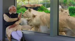 இந்தியப் பிரதமர் நரேந்திர மோதி, வந்தாரா உயிரியல் பூங்கா, விலங்கியல் பூங்கா, நிதி முறைகேடுகள், பணமோசடி குற்றச்சாட்டுகள் ஆகியவற்றையும் விசாரணைக் குழு 