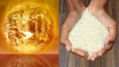 தேசிய வானிலை முகமைகளின் பல கணிப்புகள், இந்த எல் நினோ இதுவரை இல்லாத அளவிற்கான மிக வலுவான "சூப்பர் எல் நினோ" ஆக நிரூபிக்கப்படலாம் என்பதைக் காட்டுகின்றன.
