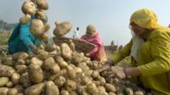 પ્રતીકાત્મક તસવીર