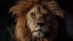 Bob Junior yakundwaga n'abasura iyi parike kuko yakundaga gufotorwa