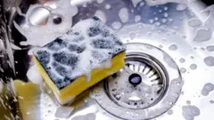 Eponge de cuisine