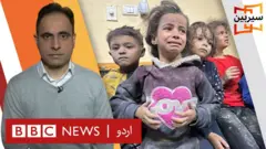 سیربین Sairbeen