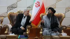 برادر و قمی