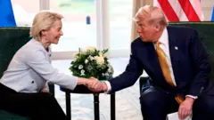 美國與歐盟7月27日宣布雙邊達成貿易協議