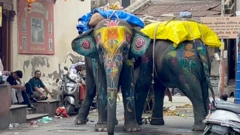 અમદાવાદની રથયાત્રામાં ગુસ્સે ભરાયેલા હાથીઓ