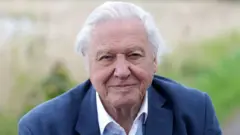 David Attenborough: mężczyzna o siwych włosach, w białej koszuli i granatowym garniturze.