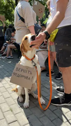 протестующие в Украине