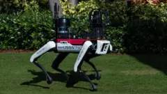 Футуристического вида роботизированная собака производства  компании Boston Dynamics патрулирует территорию резиденции избранного президента Дональда Трампа во Флориде