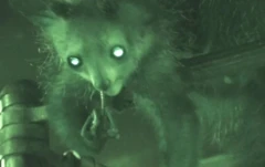 ลีเมอร์