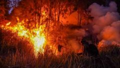Karhutla 2026 meluas dan hanguskan ribuan hektare di tengah El Nino Godzilla – 'Tapi 90% akibat ulah manusia'