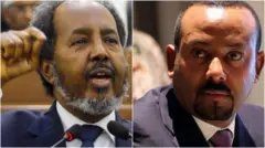 ፕረዚደንት ሓሰንን ቀዳማይ ሚኒስተር ኣቢይን