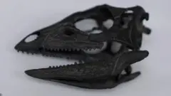 Череп динозавра