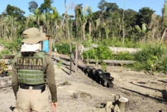 Agente policialgalo betanocostas pertogalo betanoárea desmatada