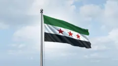 العلم السوري الجديد