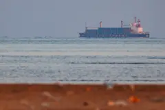 Doonii Baab el Mandeb keessa imaltu