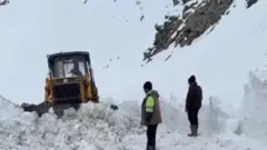 Малчыларга Чүйдөн чөп ташылуда