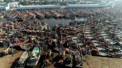 માછીમારી