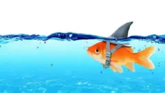 هل تصدق دائماً ما تراه؟