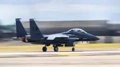 इराणने शुक्रवारी अमेरिकेचे एफ-15 इ लढाऊ विमान पाडले होते (फाइल फोटो)