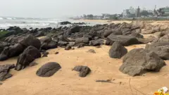 సముద్రతీరంలో నిత్యం అలల తాకిడికి గురయ్యే రాళ్లు