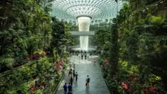 Jewel Rain Vortex, a cachoeira em ambiente fechado mais alta do mundo, no aeroporto Changi, em Singapura