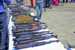 Arms impounded by the police