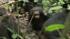 બીબીસી ગુજરાતી, ગુજરાત, બીબીસી, અમદાવાદ, 