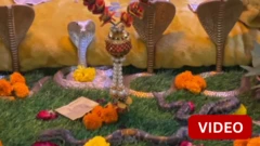 பாம்புகளோடு வசிக்கும் பூசாரி - குஜராத்தில் விநோத கோவில்