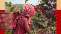 ቡን እትኣሪ ተምሃሪት