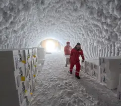 Duas pessoas de macacão vermelho de proteção contra temperaturas abaixo de zero carregam um grande baú branco por um túnel de gelo. Muitas outras caixas semelhantes estão empilhadas em cada lado das paredes da caverna