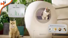 نظام ذكي لنظيف فضلات القطط تلقائيا