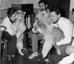Foto em preta e branco com três homens abraçando três cachorros